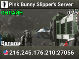 Pink Bunny Slipper's Server
