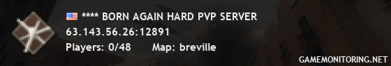 **** BORN AGAIN HARD PVP SERVER