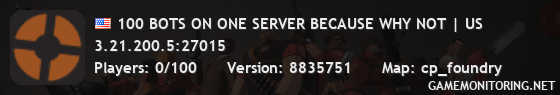 100 BOTS ON ONE SERVER BECAUSE WHY NOT