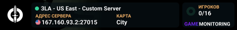 3LA - US East - Custom Server