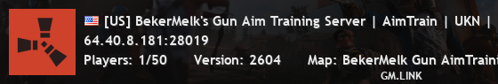 [US] BekerMelk's Gun Aim Training Server | AimTrain | UKN |