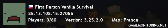 First Person Vanilla Survival