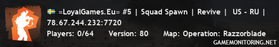 =LoyalGames.Eu= #5 | Squad Spawn | Revive |  US - RU |