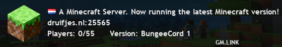A Minecraft Server. Now running the latest Minecraft version!