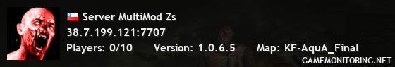 Server MultiMod Zs
