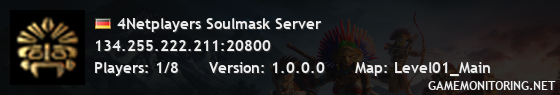 4Netplayers Soulmask Server