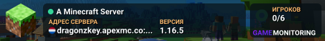 A Minecraft Server