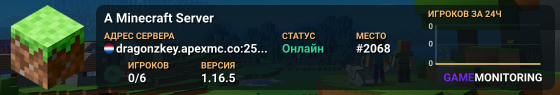 A Minecraft Server