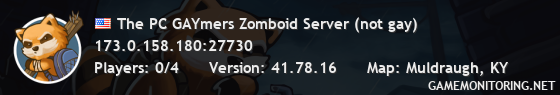 The PC GAYmers Zomboid Server (not gay)