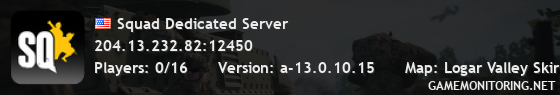 Squad Dedicated Server