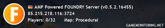 AMP Powered FOUNDRY Server (v0.5.2.16455)