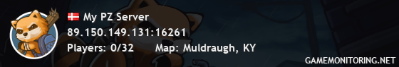 My PZ Server My PZ Server