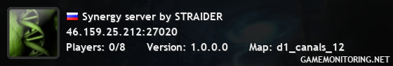 Synergy server by STRAIDER