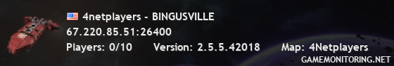 4netplayers - BINGUSVILLE