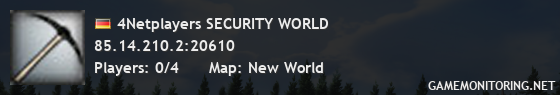 4Netplayers SECURITY WORLD