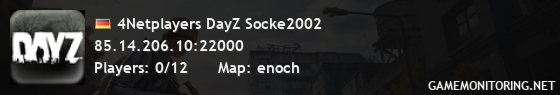 4Netplayers DayZ Socke2002