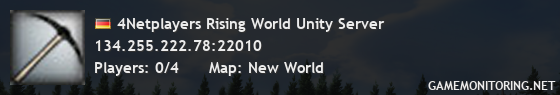 4Netplayers Rising World Unity Server