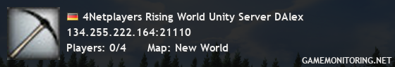 4Netplayers Rising World Unity Server DAlex