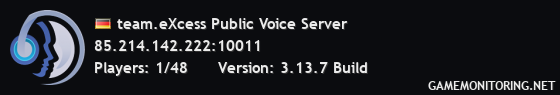 team.eXcess Public Voice Server