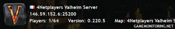 4Netplayers Valheim Server 4Netplayers Valheim Server