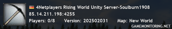 4Netplayers Rising World Unity Server-Soulburn1908