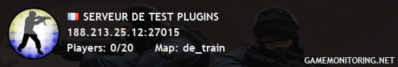 SERVEUR DE TEST PLUGINS