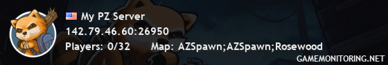 My PZ Server My PZ Server