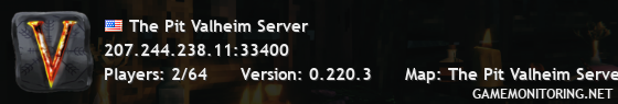 The Pit Valheim Server