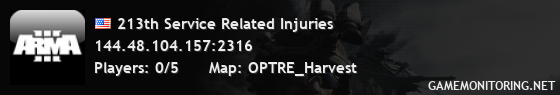 213th Service Related Injuries 213th Service Related Injuries