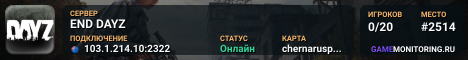 END DAYZ