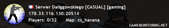 Serwer Daliggowskiego [CASUAL] [gaming]