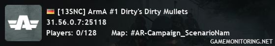 [13SNC] ArmA #1 Dirty's Dirty Mullets