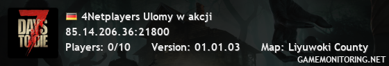 4Netplayers Ulomy w akcji