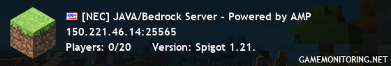 [NEC] JAVA/Bedrock Server - Powered by AMP
