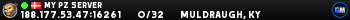 My PZ Server My PZ Server