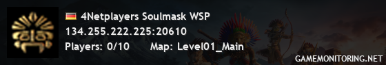 4Netplayers Soulmask WSP 4Netplayers Soulmask WSP