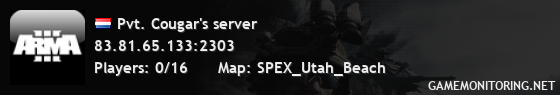 Pvt. Cougar's server Pvt. Cougar's server