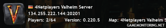 4Netplayers Valheim Server 4Netplayers Valheim Server
