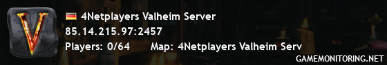 4Netplayers Valheim Server 4Netplayers Valheim Server