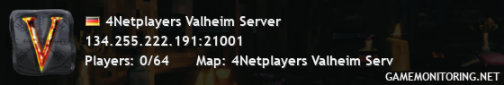 4Netplayers Valheim Server 4Netplayers Valheim Server