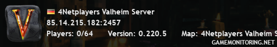 4Netplayers Valheim Server 4Netplayers Valheim Server