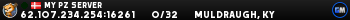 My PZ Server My PZ Server
