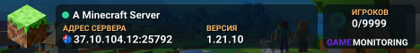 A Minecraft Server