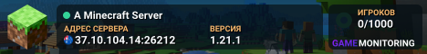 A Minecraft Server