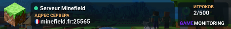 Serveur Minefield